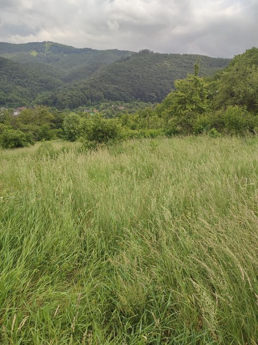 Земельна ділянка з будинком в Косові