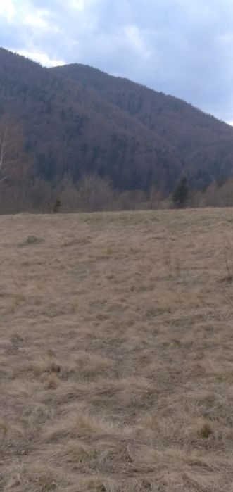 Продається земельна ділянка в селі Головське Львівської області