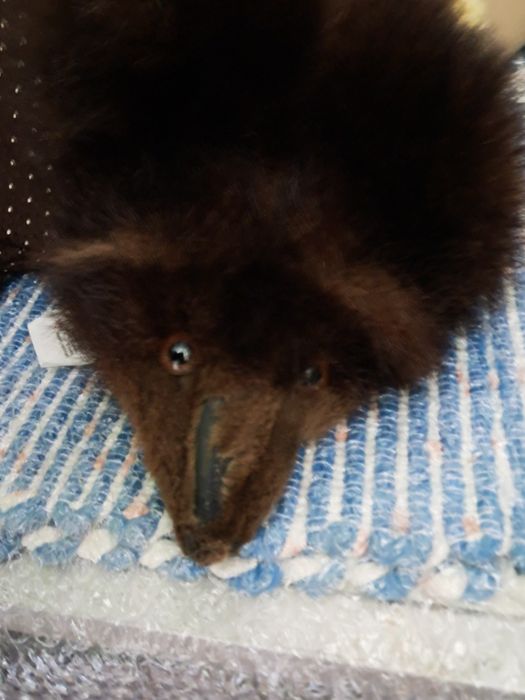 Raposa com olhos de vidro.