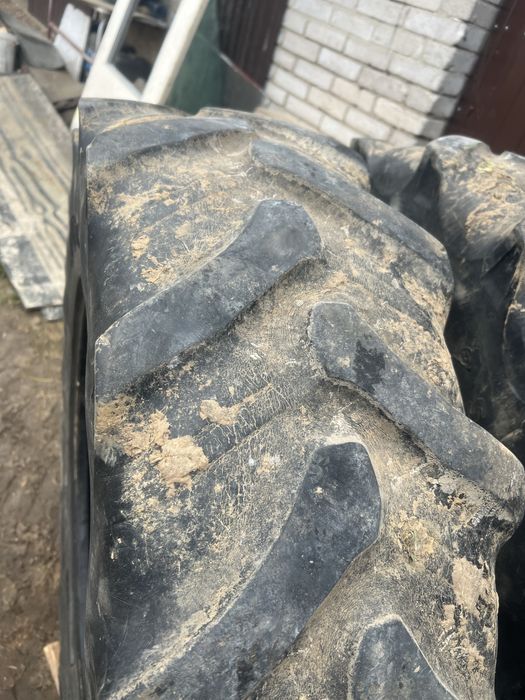 Opony Dunlop 12.4 R24