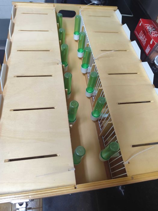 Transportadora de 12 Lugares Nova