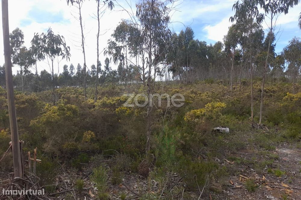 Terreno Rustico com 12580m2