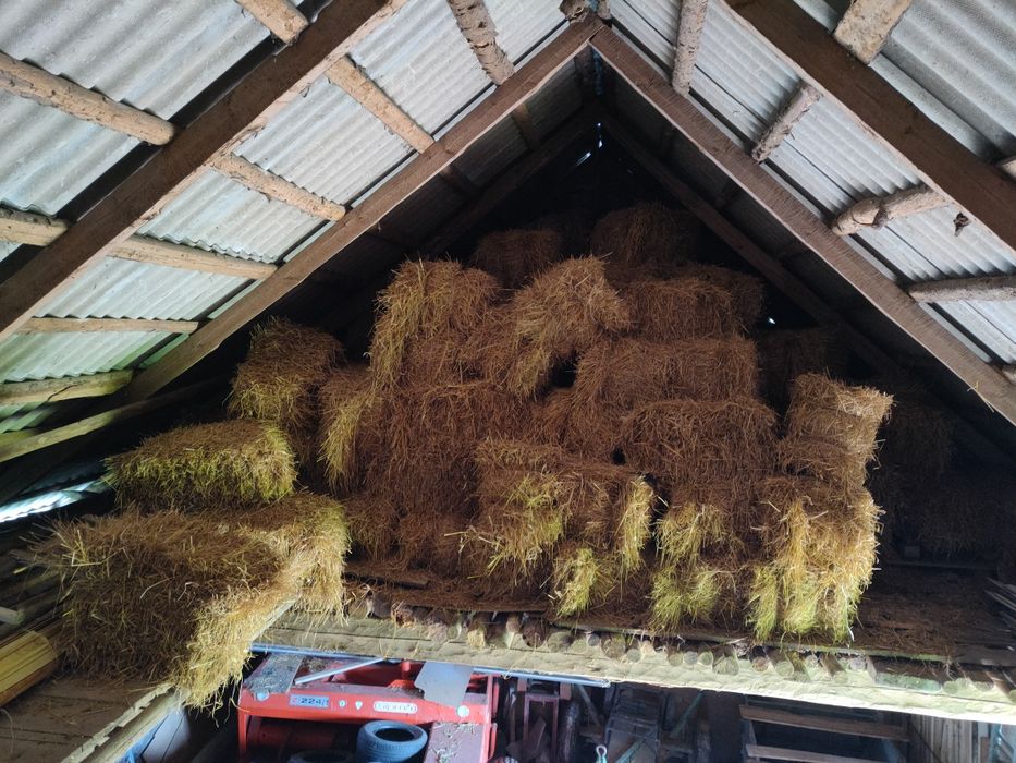 Sprzedsm słomę ciuki