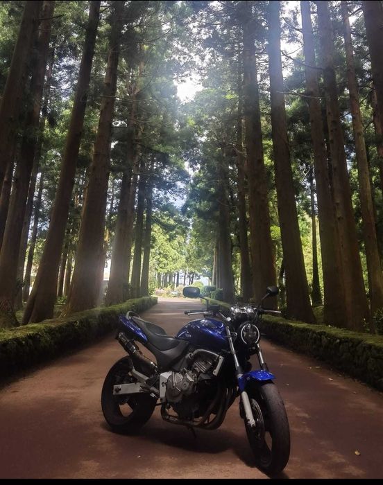 Honda Hornet 600 A2