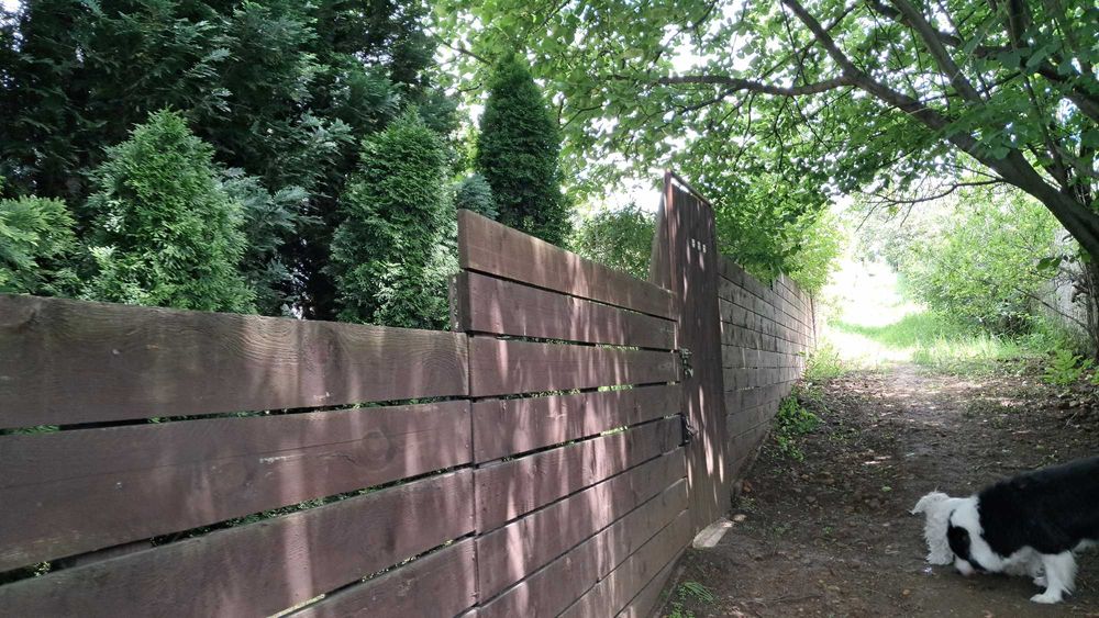 Ogródek działkowy ROD WYPOCZYNEK Będzin duży zadbany 323 m² blisko boczne wejście - Widok 4