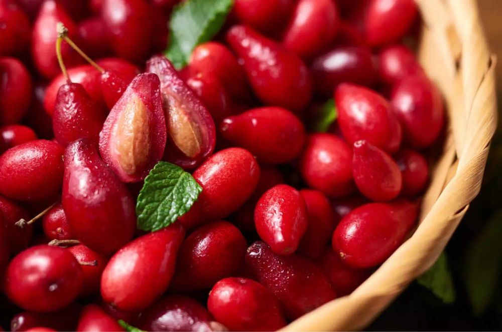 Саджанці _ Кизил