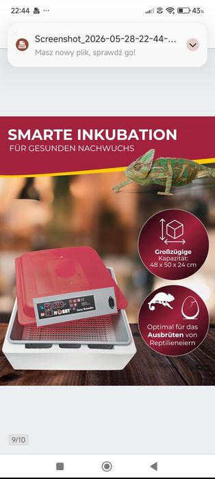 Hobby 36319 Easy Breeder, inkubator, 48 x 50 x 24