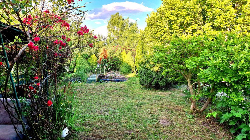 Sprzedam działkę rekreacyjną o powierzchni 400 m²