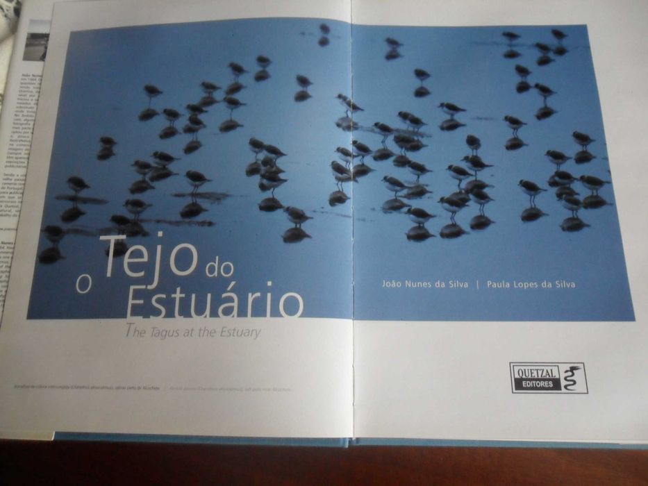 "O Tejo do Estuário" de João Nunes da Silva e Paula Lopes da Silva
