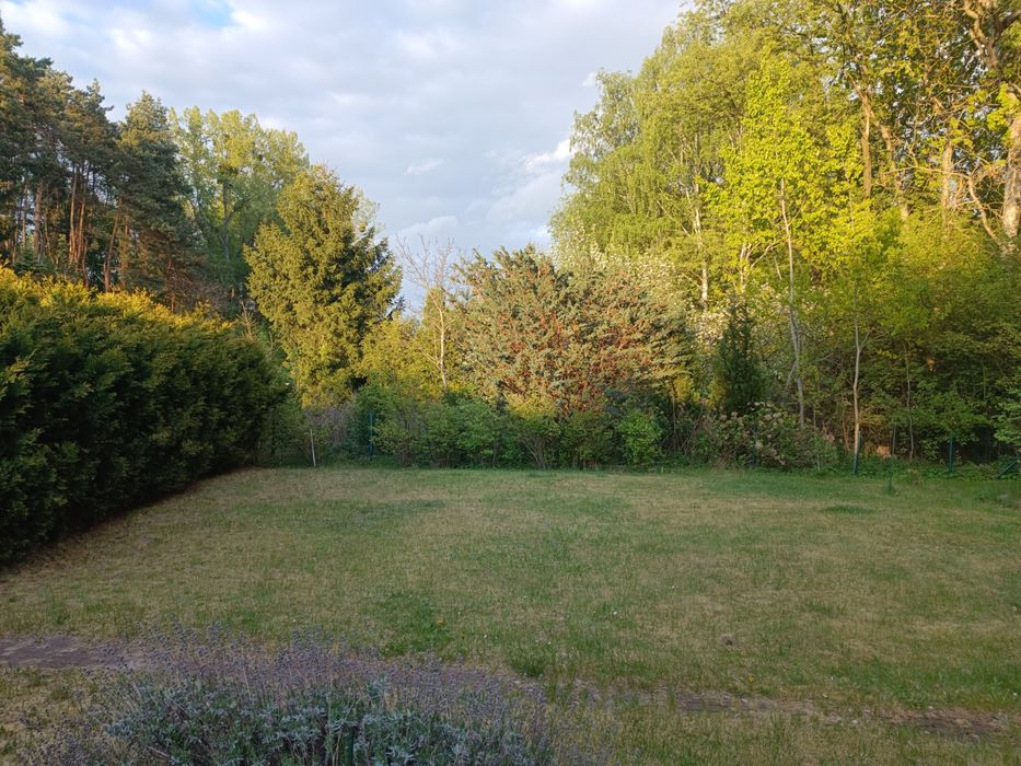 Działka ROD Brus Łódź 400m² domek z poddaszem blisko lasu - Widok 4