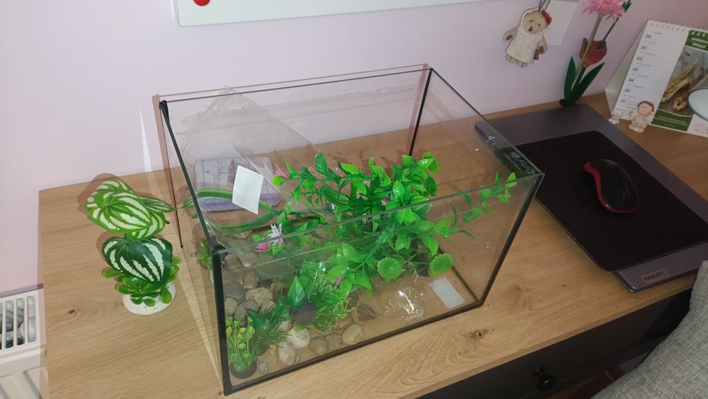 Małe akwarium plus dodatki wymiary 30x20 cm