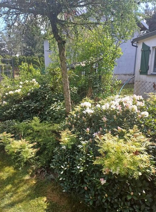 REZERWACJA Sprzedam działkę ROD Imielno