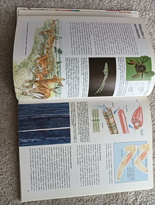 Biologia	Enciclopédia Juvenil  com muitas fotografias e ilustrações