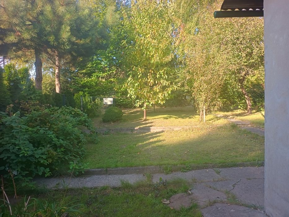 Działka ROD na Wilanowie
