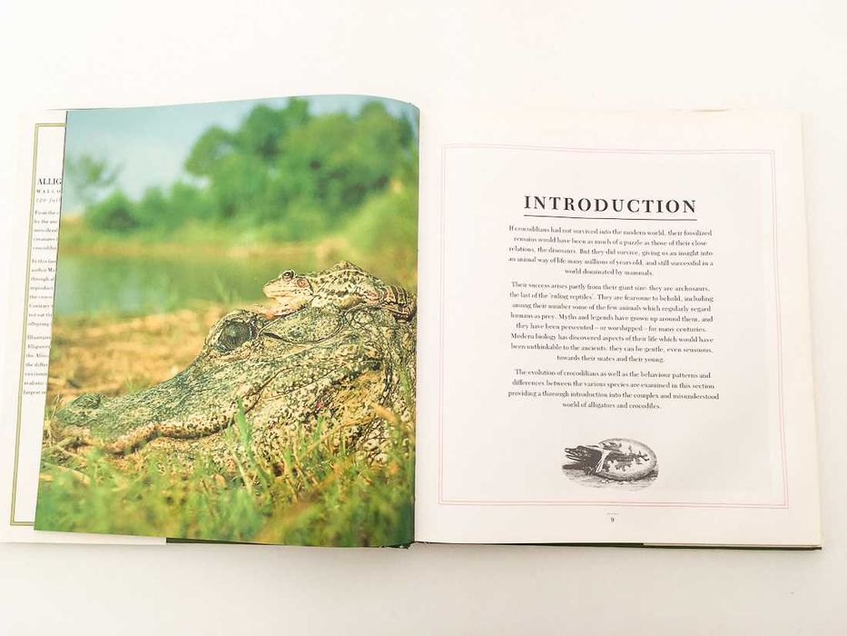 Alligators & Crocodiles