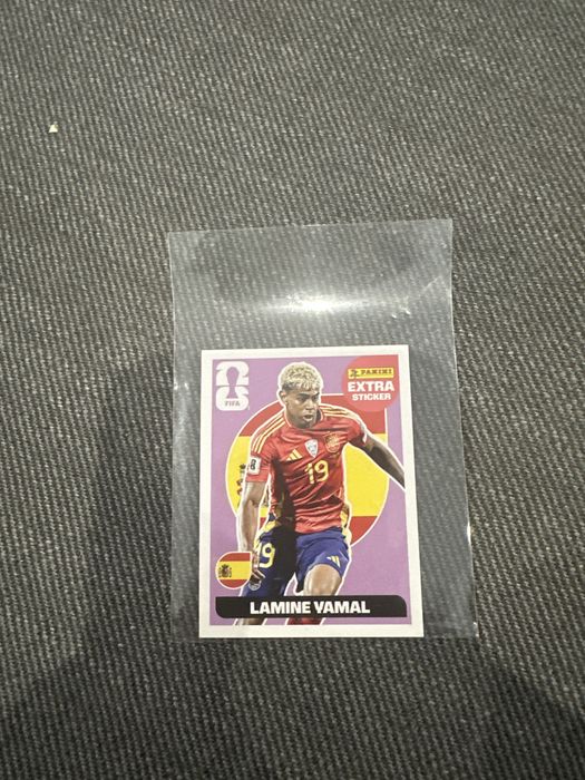Extra Sticker Panini