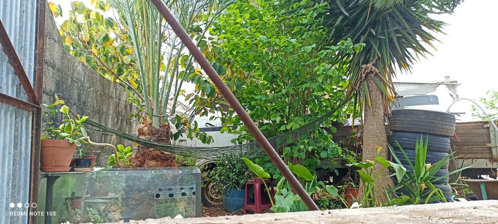 Mala de enchoval antiga