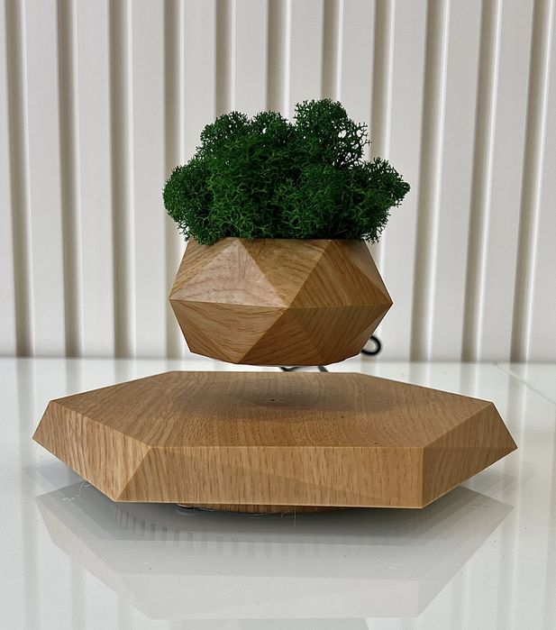 Левитирующий вазон, парящий горшок, левітуючий кашпо з норвежськ мохом