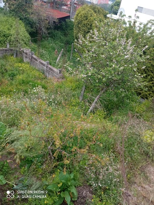 Terreno com casa para restauro