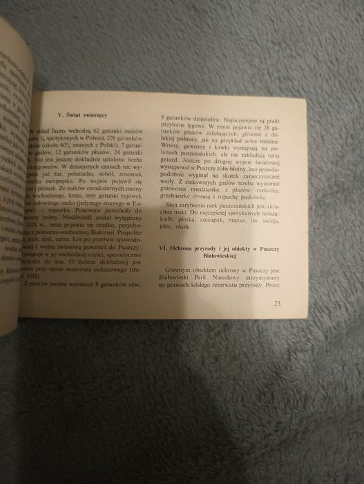 Trzy dni w Puszczy Białowieskiej