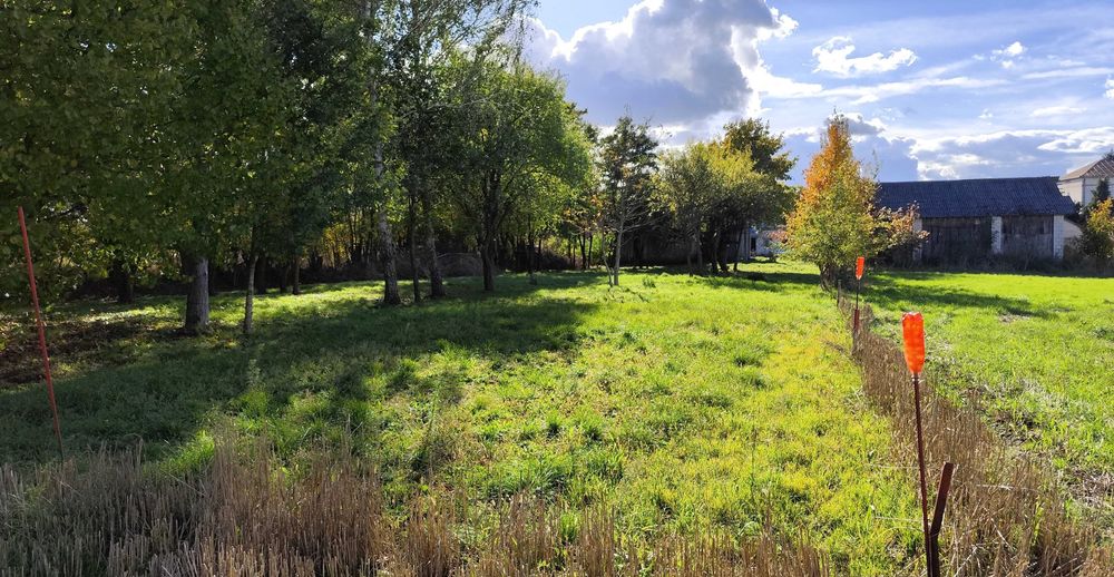 Sprzedam dom + siedlisko z dużym potencjałem inwestycyjnym