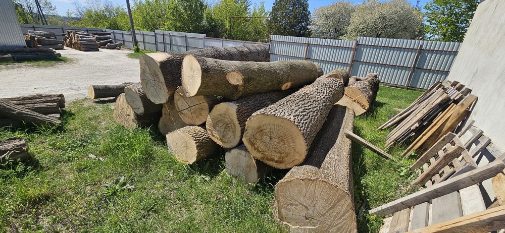 Продам слеби ясень, дошку, або кругляк 310см  діаметр  50-80см