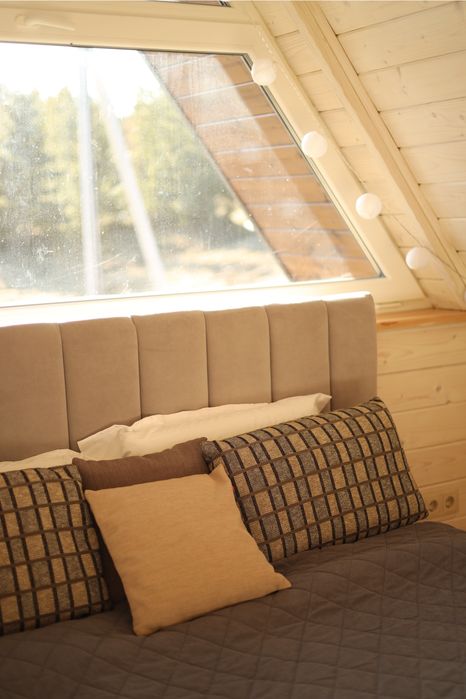 Котеджі в Карпатах