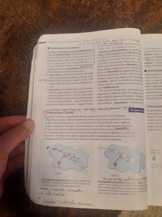 Biologia na czasie 2.