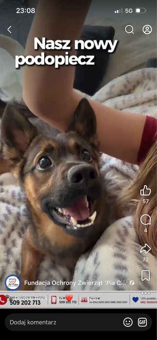 Cudowny Rocky szuka domku