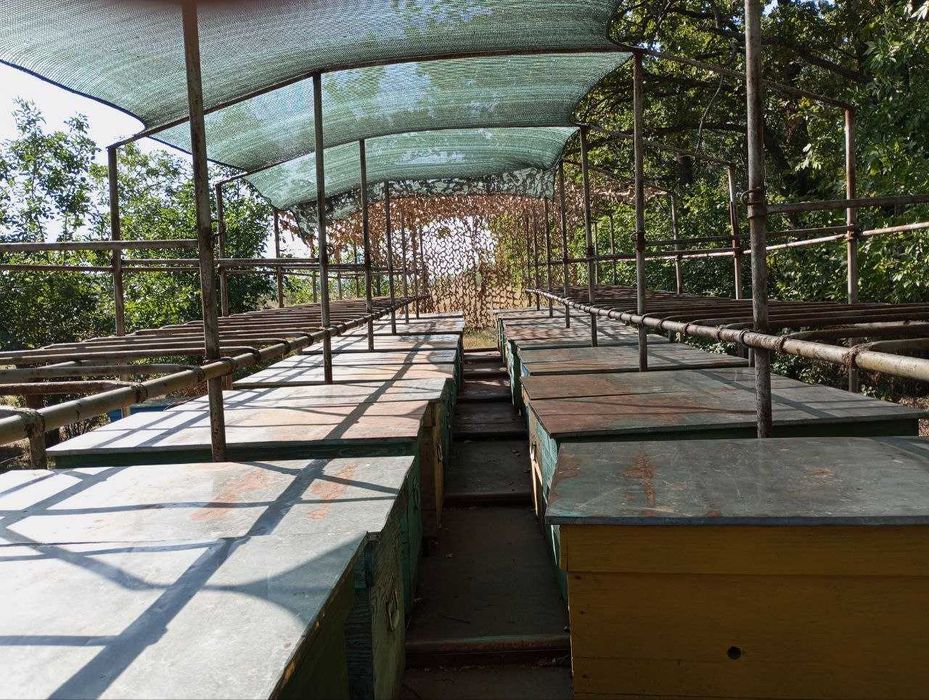 Бджолопавільйон двох'ярусний на 56 сімей з постановою на теплий занос