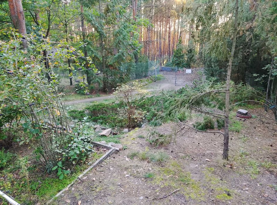 DZIAŁKA Z DREWNIANYM DOMKIEM Miejscowość: Ruda Gmina: Radzymin.