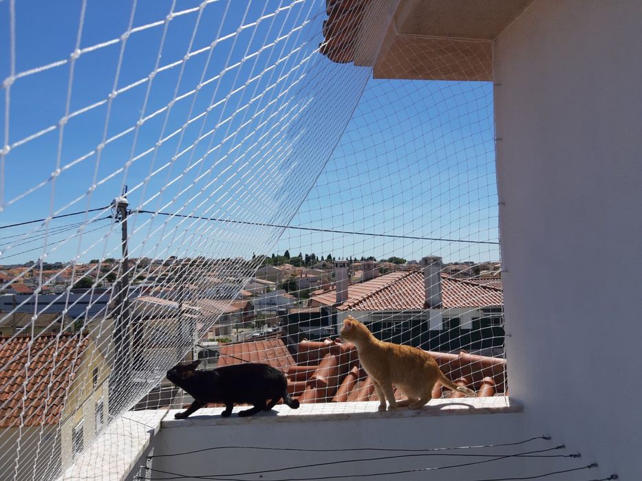 Rede de Proteção para Gatos