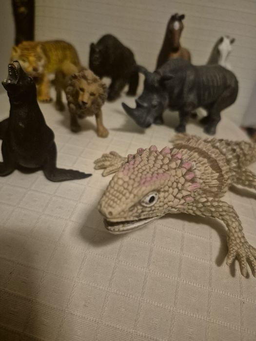 Lote de animais de muita qualidade