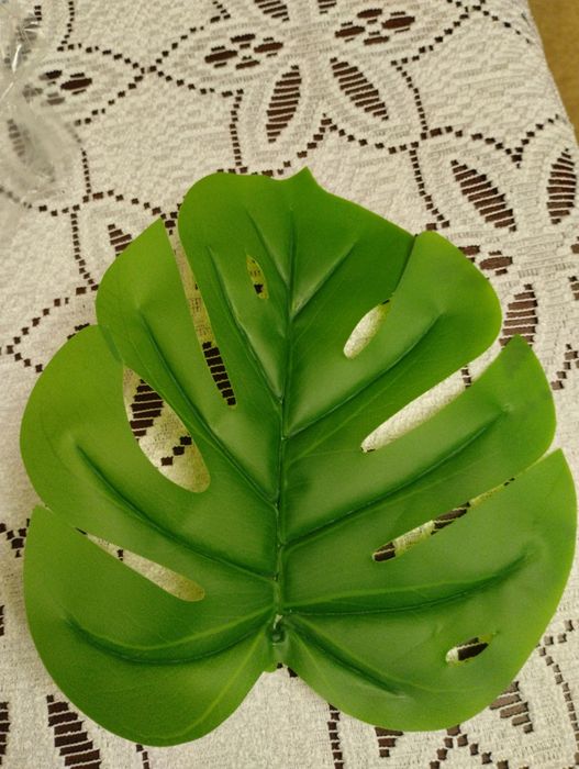 Kwiat monastera dekoracja