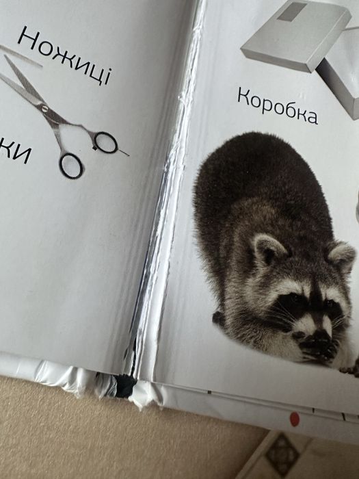 Книга дитяча 500 Перших слів