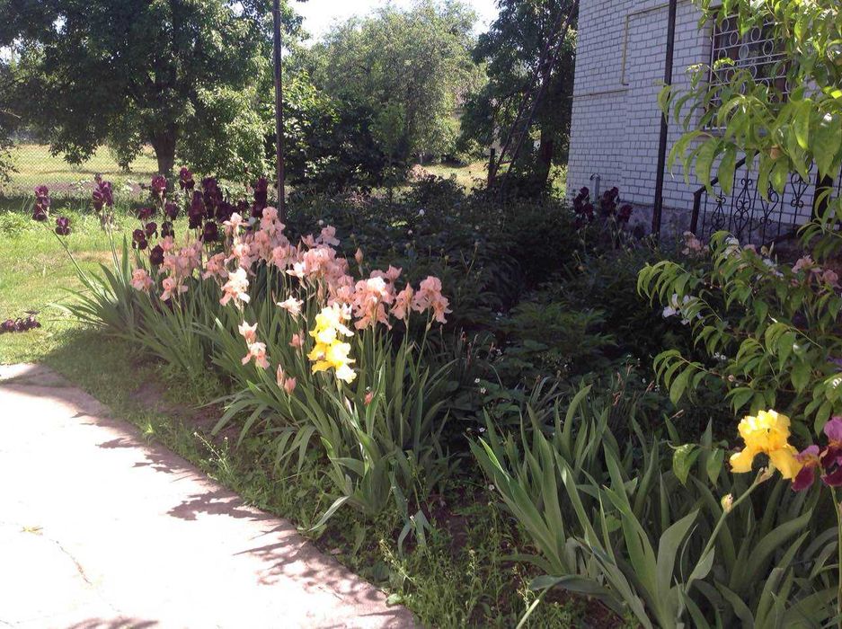 Заміський шикарний цегляний дім з садом