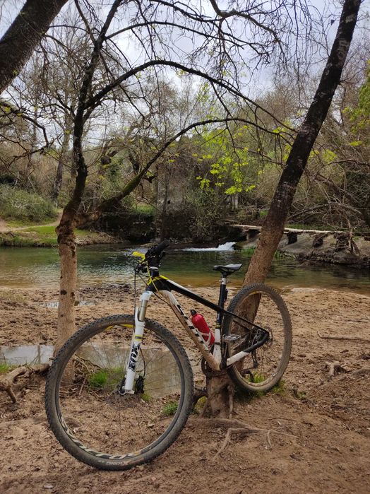 Scott Scale 930 em carbono
