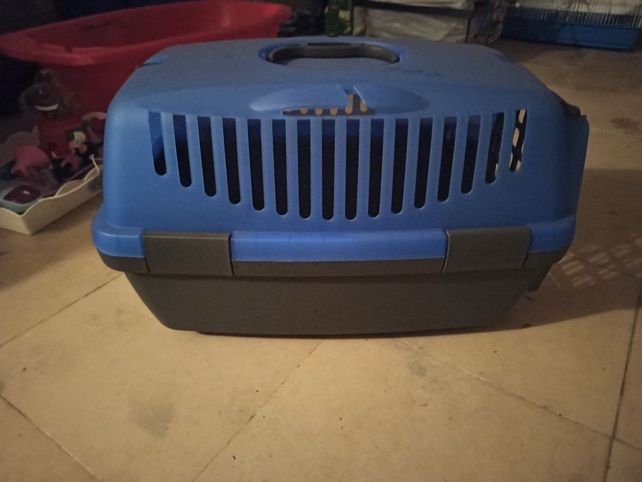 Caixa de transporte coêlho