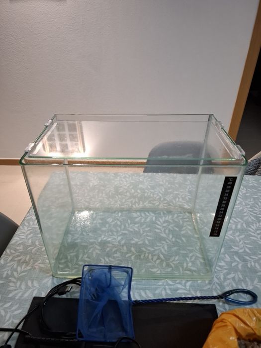 Aquário 20l (Pronto a utilizar)
