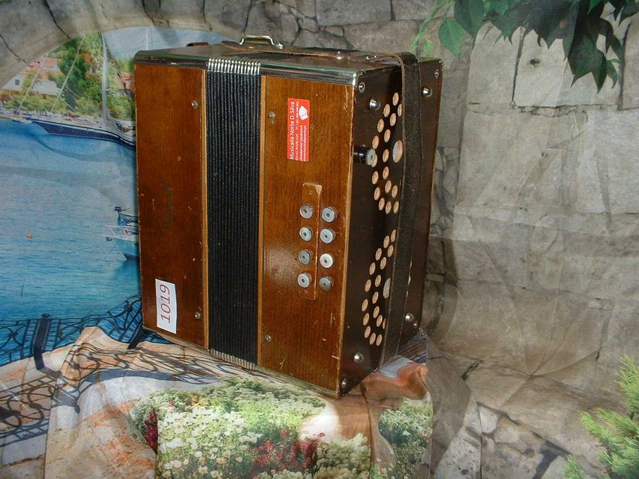 Concertina para venda N, 1019