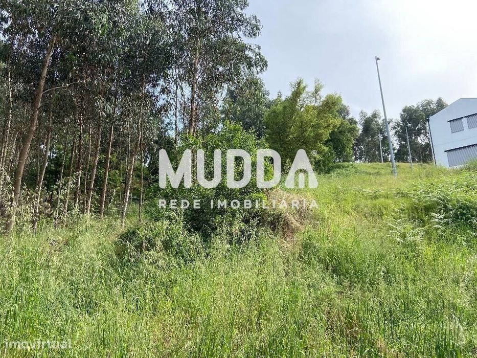 Terreno com 2.900 m2, rústico, com possibilidade de construção, em Cré