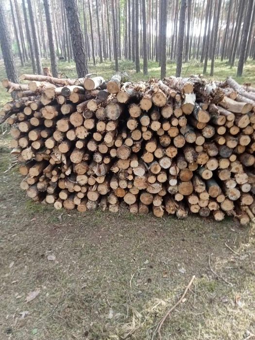 Drewno opałowe sosna gałęziówka