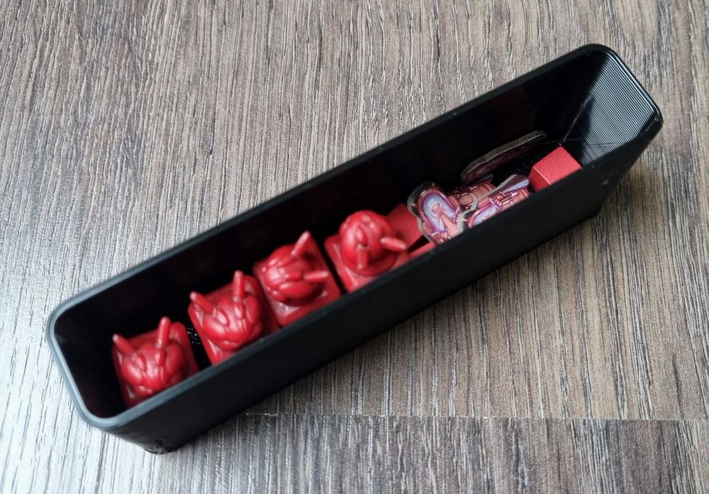 Insert 3D do gry Apiary – organizer elementów