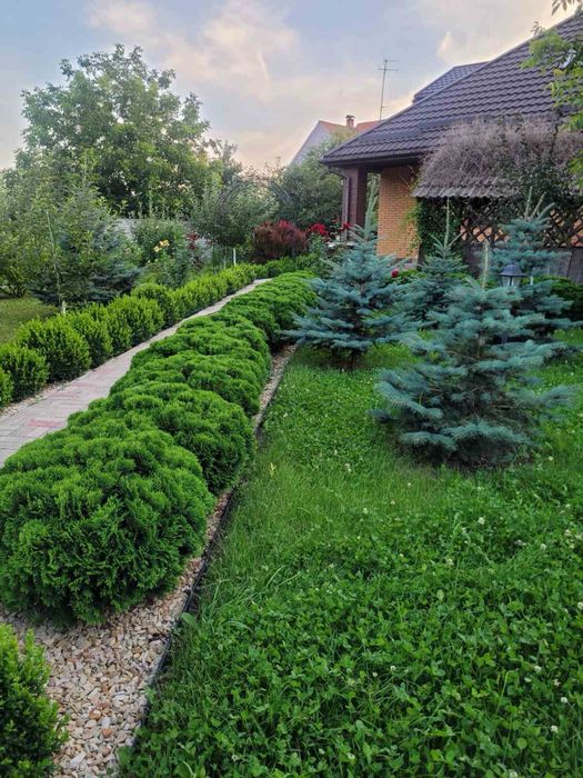 Будинок з бізнесом