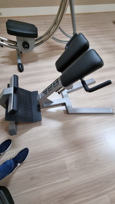 Siłownia trening pleców i pośladków