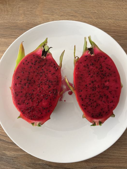 Mudas de pitaya com raiz de varias variedades