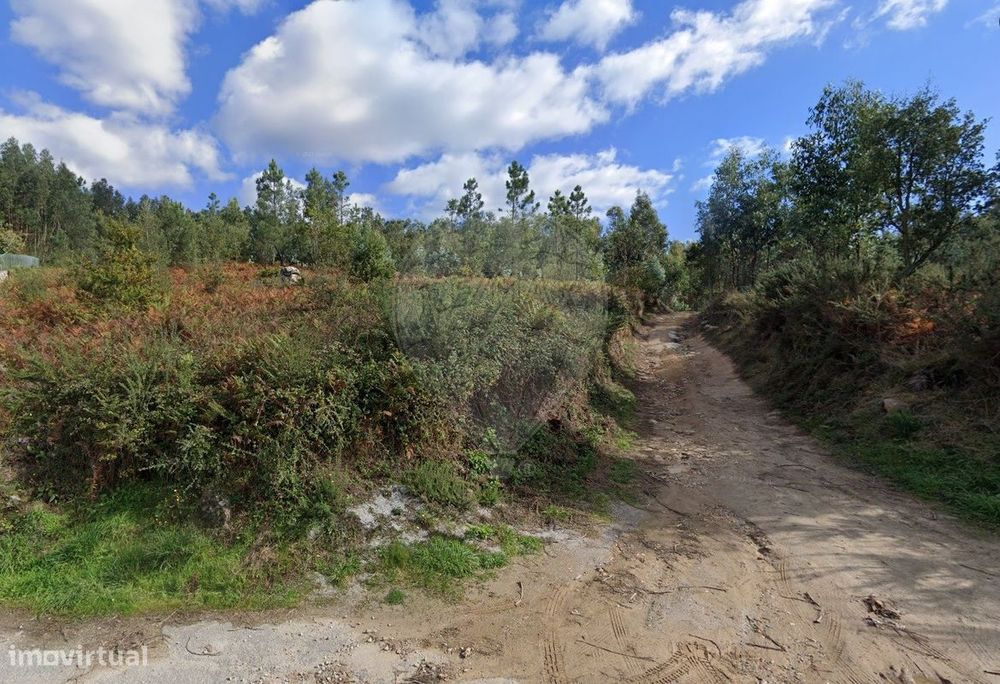 Terreno  para venda — Travanca, Viseu