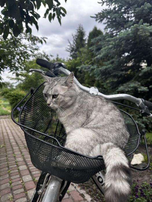 Велосипед алюмінієвий Conway