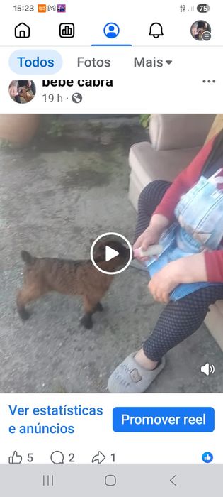 Micro cabra ană a biberon