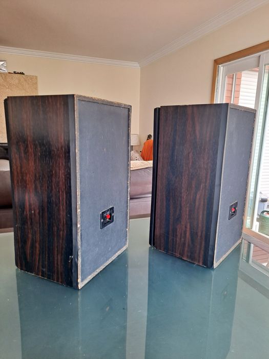 Colunas de som pioneer